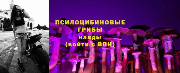 дживик Армянск