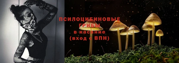 прущие крисы Аркадак