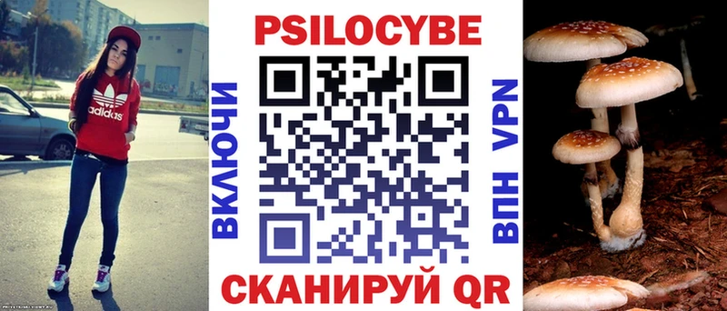 Галлюциногенные грибы мухоморы купить наркоту darknet наркотические препараты Лабинск
